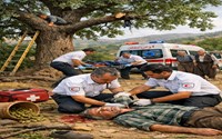 دومین حادثه سقوط از درخت بلوط در سردشت؛ اورژانس نسبت به تکرار این حوادث هشدار داد